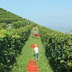 Alloggio per agriturismo Il Bricco