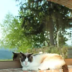 Il Bricco Alloggio per agriturismo Treiso