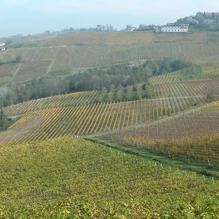 Il Bricco トレイゾ