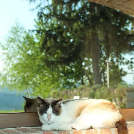 Il Bricco ファームステイ トレイゾ