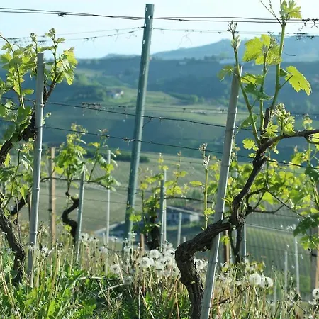 Il Bricco ファームステイ *